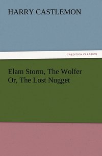 bokomslag Elam Storm, The Wolfer Or, The Lost Nugget