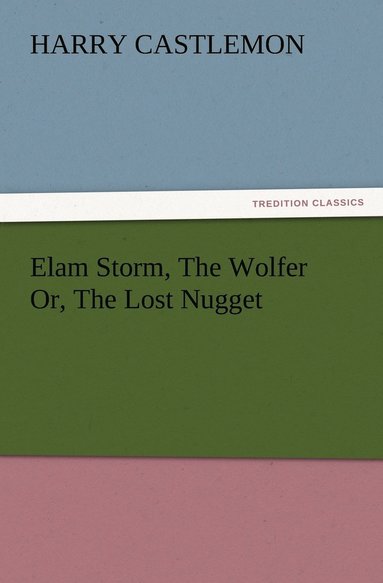 bokomslag Elam Storm, The Wolfer Or, The Lost Nugget