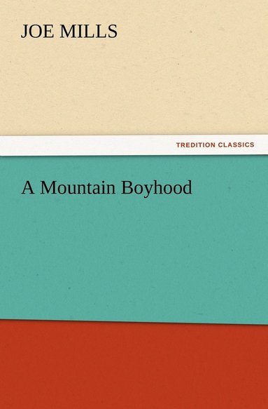 bokomslag Mountain Boyhood