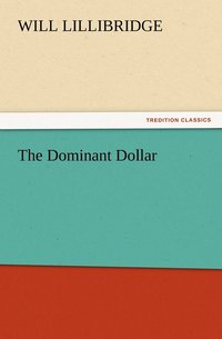 bokomslag The Dominant Dollar