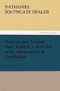 bokomslag Domesticated Animals Their Relation to Man and to His Advancement in Civilization