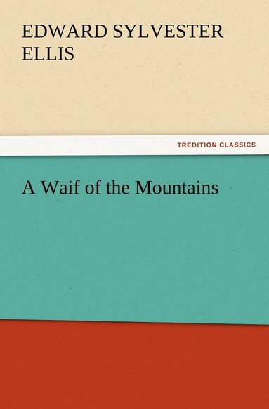 bokomslag Waif of the Mountains