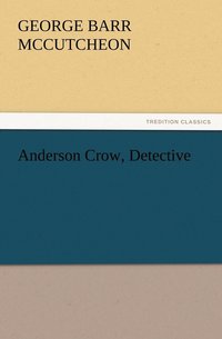 bokomslag Anderson Crow, Detective