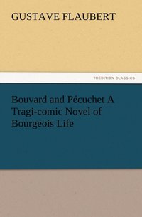 bokomslag Bouvard and Pcuchet A Tragi-comic Novel of Bourgeois Life