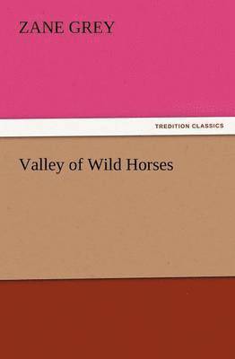 Valley of Wild Horses