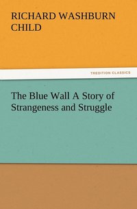 bokomslag The Blue Wall A Story of Strangeness and Struggle