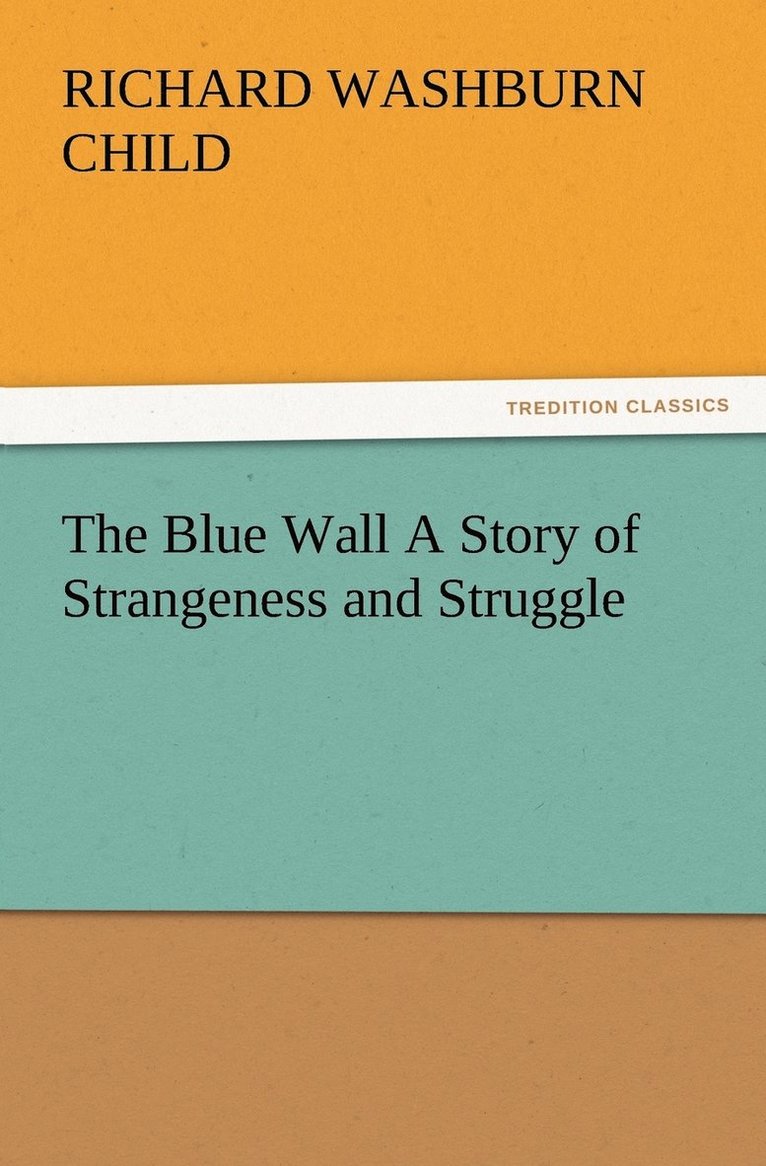 Richard Washburn Child - Blue Wall A Story of Strangeness and Struggle, Häftad