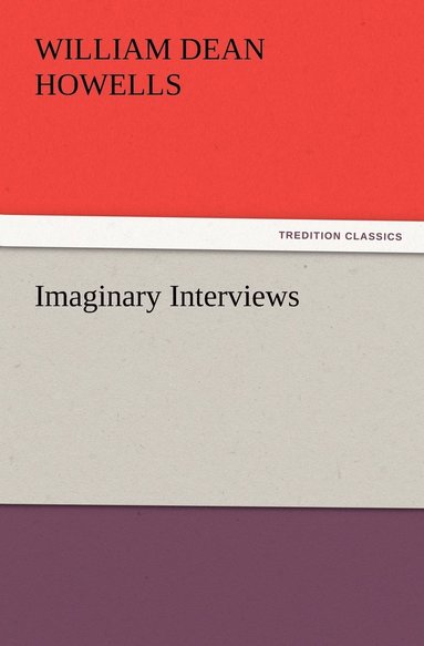 bokomslag Imaginary Interviews