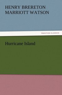 bokomslag Hurricane Island