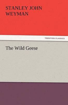 Wild Geese 1