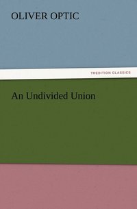 bokomslag An Undivided Union