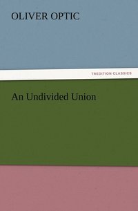 bokomslag Undivided Union