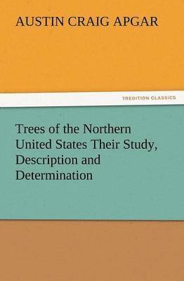 Trees of the Northern United States Their Study, Description and Determination 1