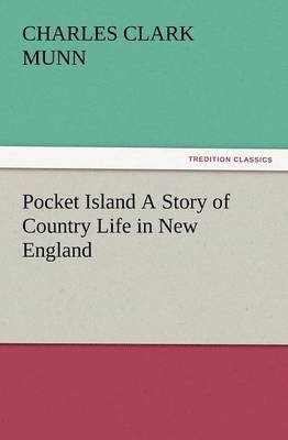 Pocket Island a Story of Country Life in New England 1