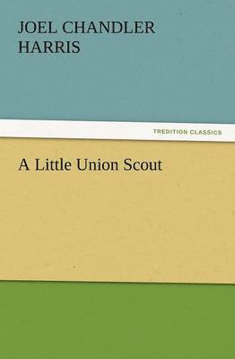 A Little Union Scout 1