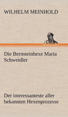 bokomslag Die Bernsteinhexe Maria Schweidler