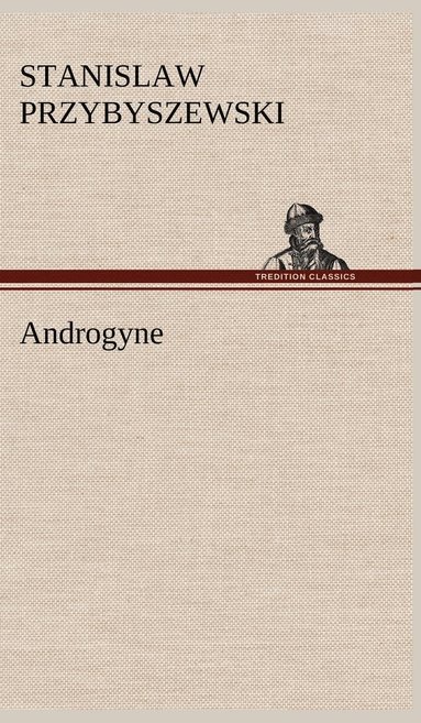 bokomslag Androgyne