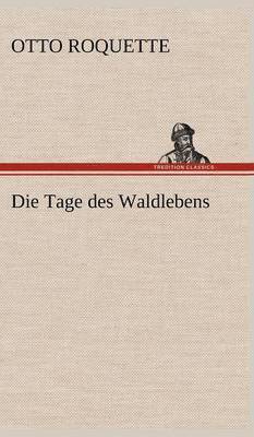 Tage Des Waldlebens