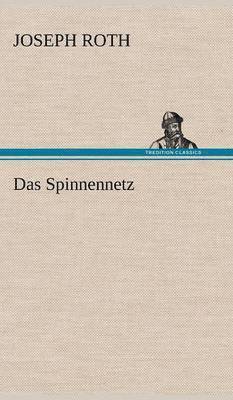 Spinnennetz
