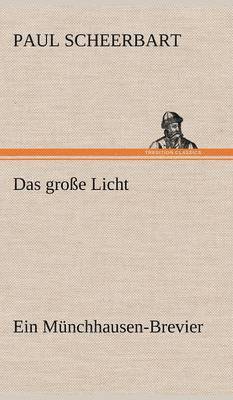 bokomslag Das Grosse Licht