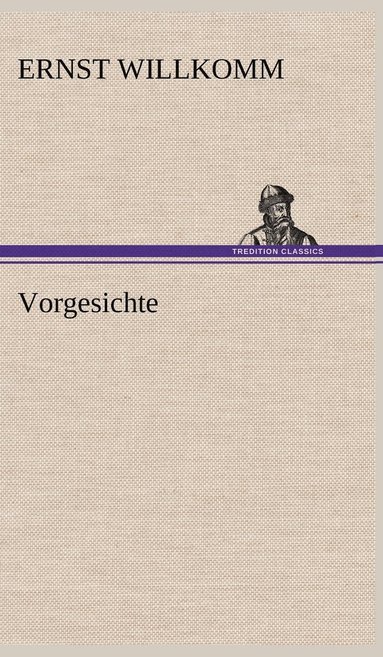 bokomslag Vorgesichte