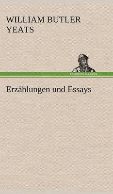 bokomslag Erzahlungen Und Essays