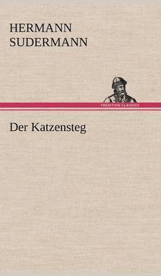 bokomslag Der Katzensteg