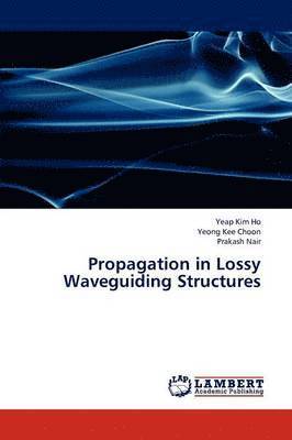 bokomslag Propagation in Lossy Waveguiding Structures