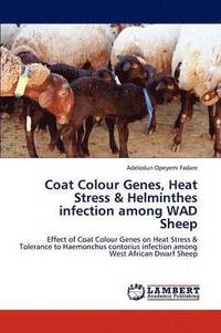 bokomslag Coat Colour Genes, Heat Stress & Helminthes Infection Among Wad Sheep