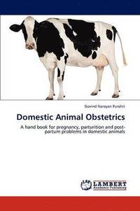 bokomslag Domestic Animal Obstetrics