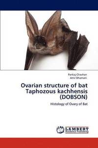 bokomslag Ovarian structure of bat Taphozous kachhensis (DOBSON)