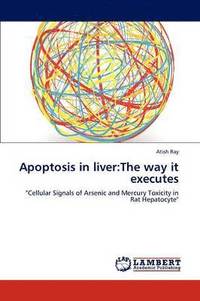 bokomslag Apoptosis in Liver