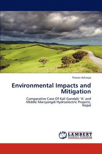 bokomslag Environmental Impacts and Mitigation