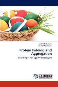 bokomslag Protein Folding and Aggregation