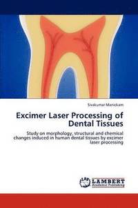 bokomslag Excimer Laser Processing of Dental Tissues