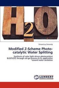 bokomslag Modified Z-Scheme Photo-catalytic Water Splitting