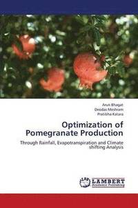 bokomslag Optimization of Pomegranate Production