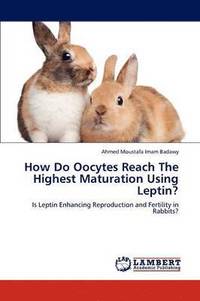 bokomslag How Do Oocytes Reach the Highest Maturation Using Leptin?