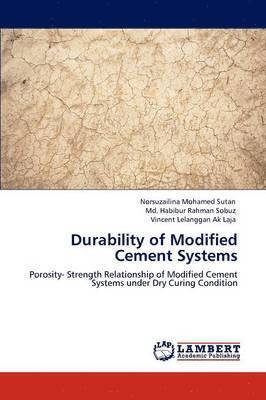 bokomslag Durability of Modified Cement Systems