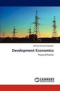 bokomslag Development Economics