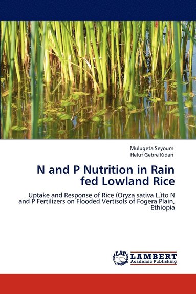 bokomslag N and P Nutrition in Rain fed Lowland Rice