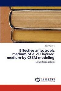 bokomslag Effective Anisotropic Medium of a Vti Layered Medium by Csem Modeling