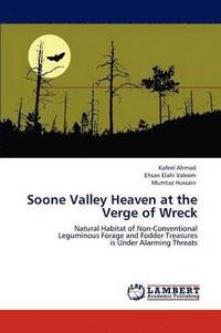 bokomslag Soone Valley Heaven at the Verge of Wreck