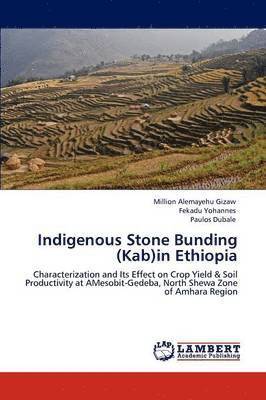 bokomslag Indigenous Stone Bunding (Kab)in Ethiopia