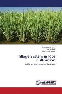 bokomslag Tillage System in Rice Cultivation