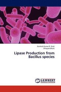 bokomslag Lipase Production from Bacillus species