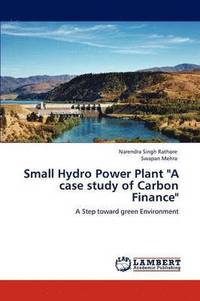 bokomslag Small Hydro Power Plant &quot;A case study of Carbon Finance&quot;