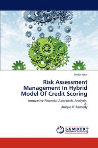 bokomslag Risk Assessment Management In Hybrid Model Of Credit Scoring
