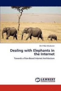 bokomslag Dealing with Elephants in the Internet