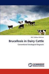 bokomslag Brucellosis in Dairy Cattle